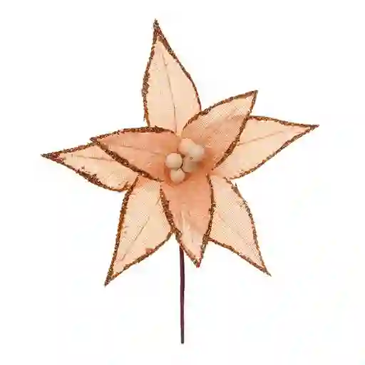 Flor Miro Christmas 25cm Champagne