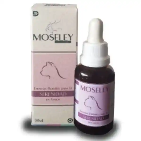 Serenidad Felinos Moseley