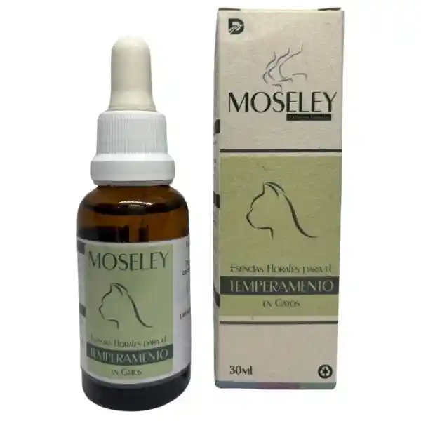 Temperamento Felinos Moseley