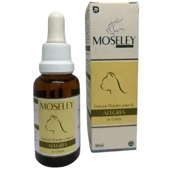 Alegría Felinos Moseley