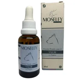 Valor Caninos Moseley