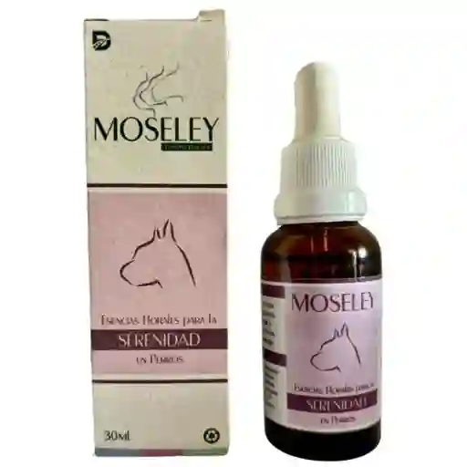 Serenidad Caninos Moseley