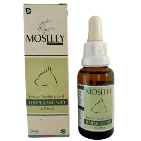 Temperamento Caninos Moseley