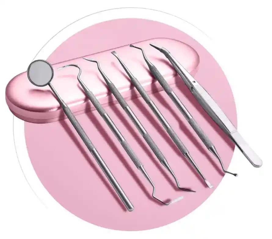 Kit Profesional Limpieza Dental En Acero Inoxidable Estuche Premium