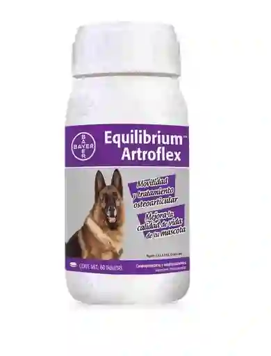 Equilibrium Artro Flex X 60 Tbs