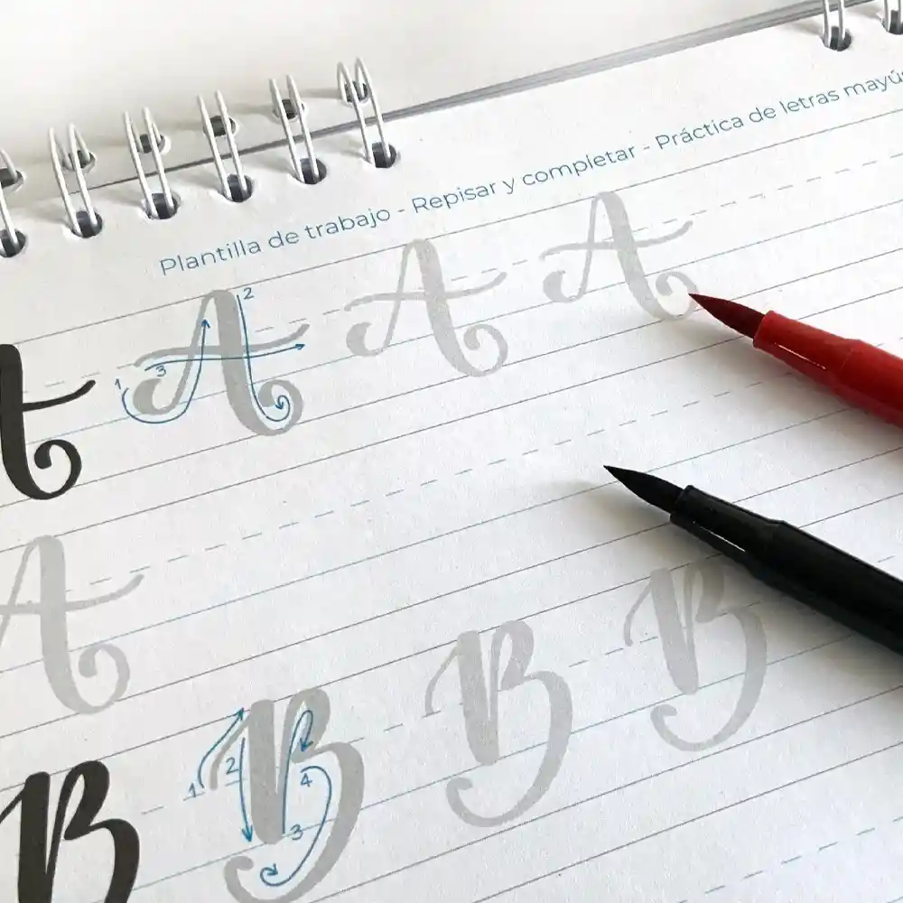 Libro Cartilla Lettering Guia