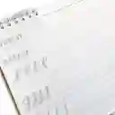 Libro Cartilla Lettering Guia