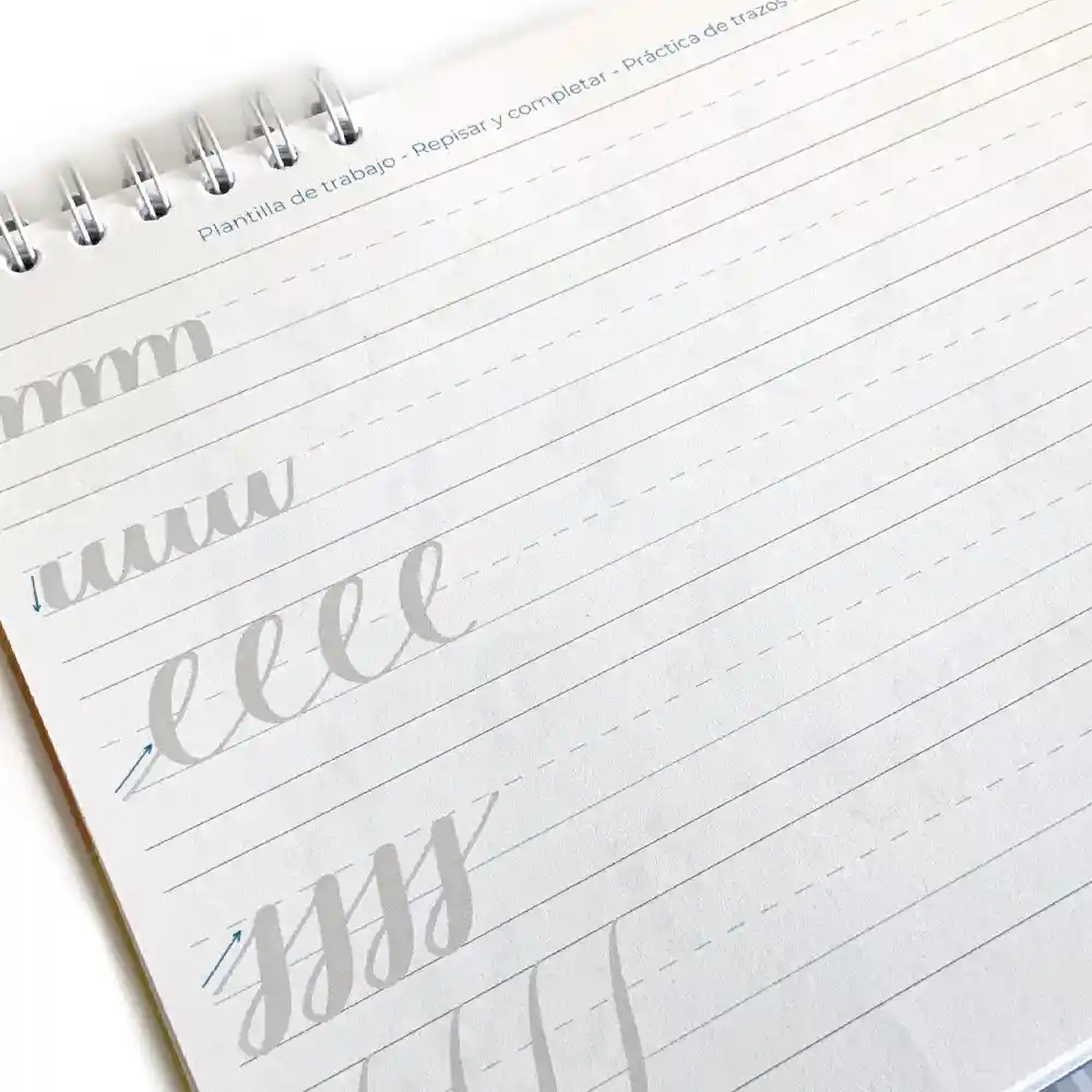 Libro Cartilla Lettering Guia