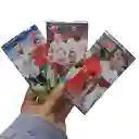 3 Sobres De Cartas Fifa World Cup 2026 Brillantes (total 24 Cartas)