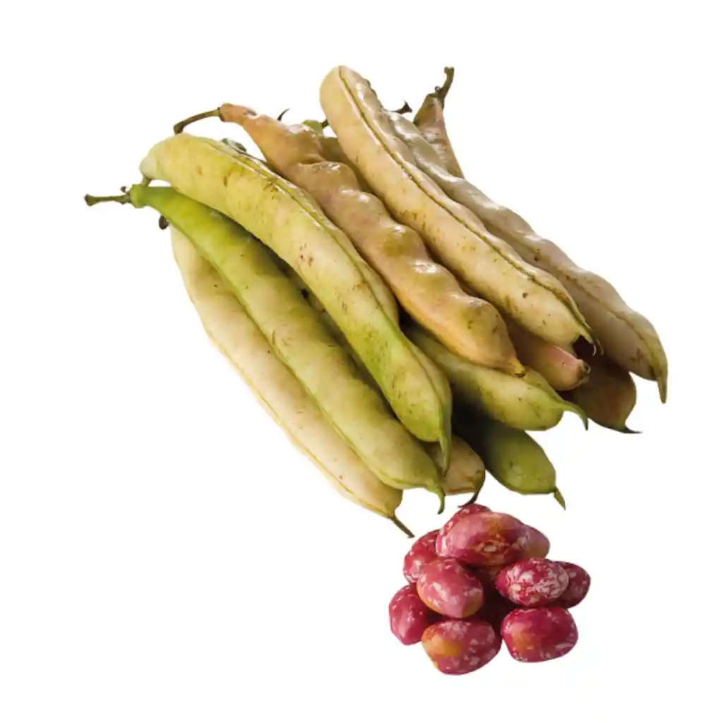 Frijol En Vaina 1 Lb O 453 Gr