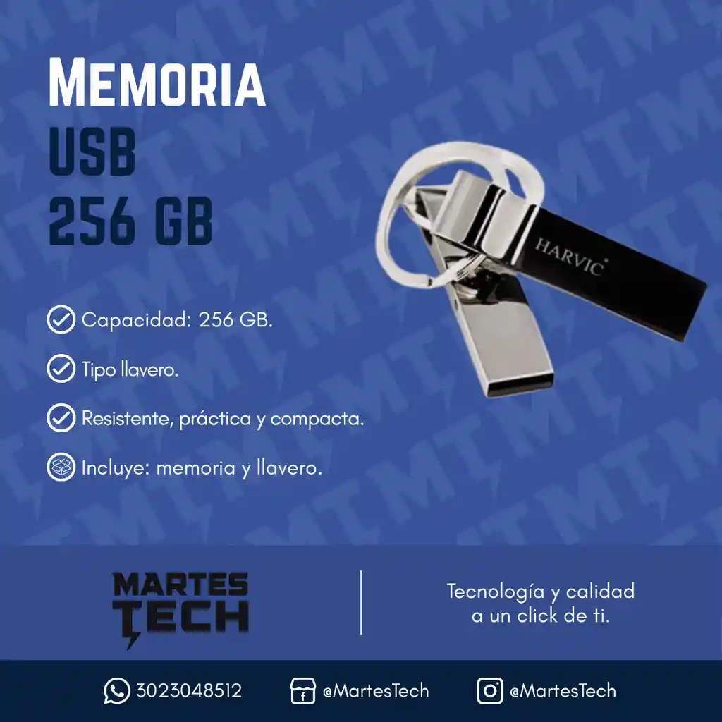 Memoria Usb 256gb