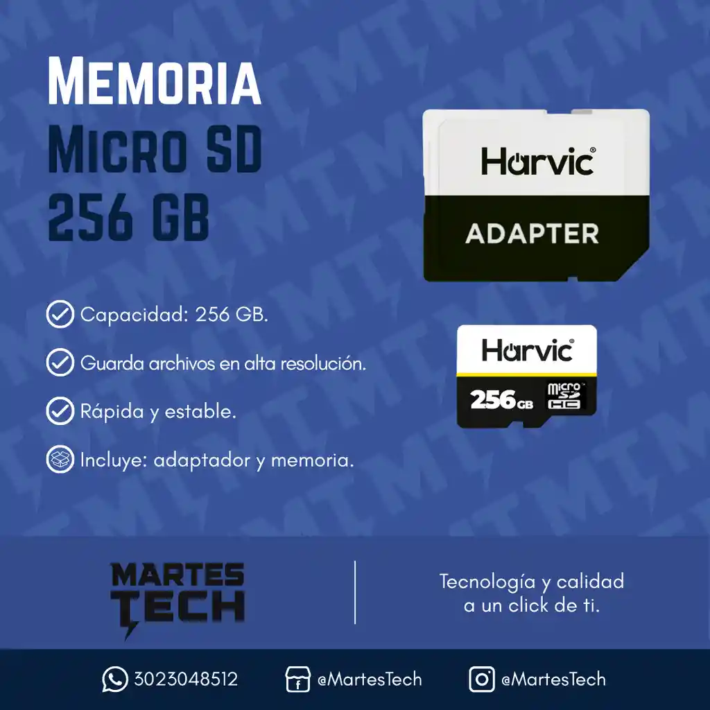 Memoria Micro Sd 256gb