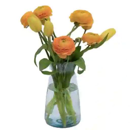 Flores Tulipanes Y Ranunculos Amarillos En Jarron