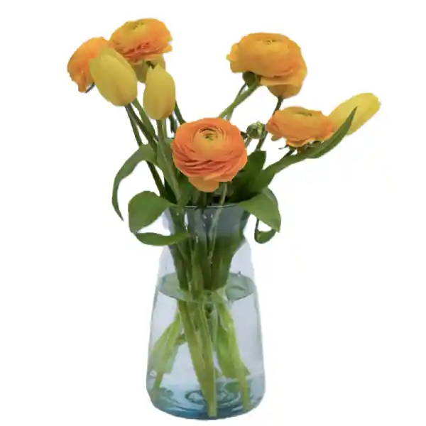 Flores Tulipanes Y Ranunculos Amarillos En Jarron