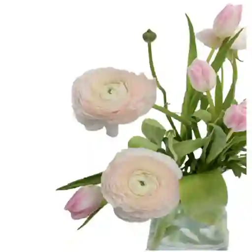 Flores Tulipanes Y Ranunculos Rosados En Jarron