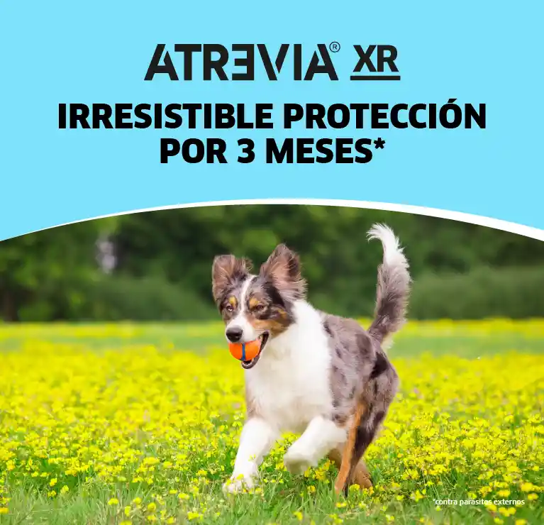 Atrevia Small (4.5 - 10 Kg) * 1 Tab
