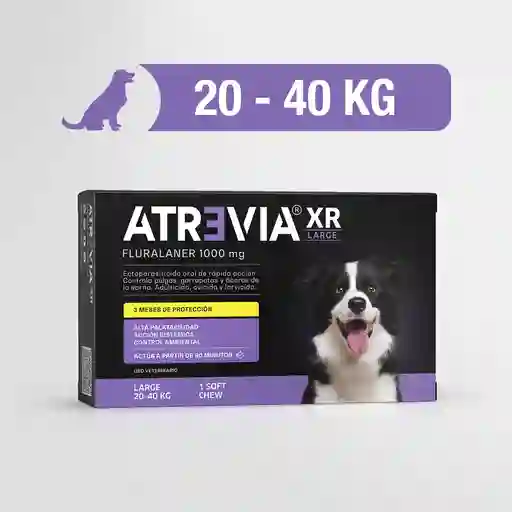 Atrevia Xr Large (20-40 Kg) * 1 Tab