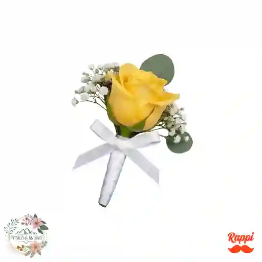 Elegancia Dorada Novio