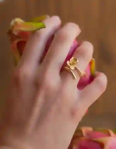 Anillo Ramita Anturio Flor Suculenta