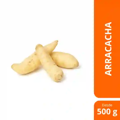Arracacha