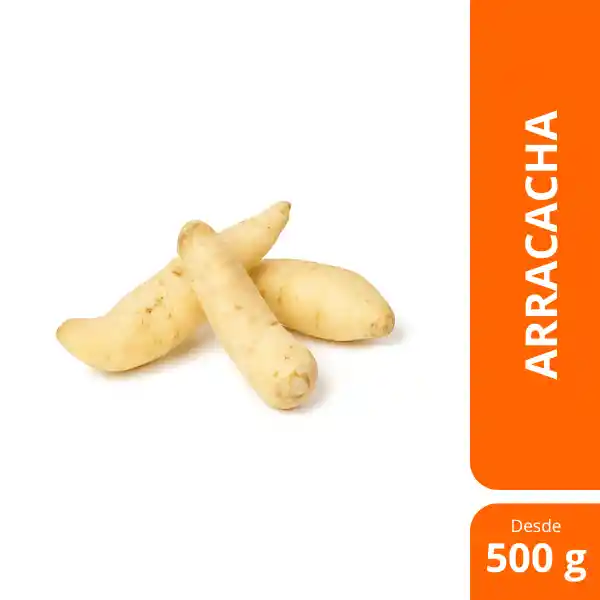 Arracacha