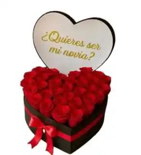 Caja Quieres Ser Mi Novia ?