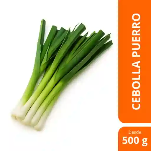 Cebolla Puerro