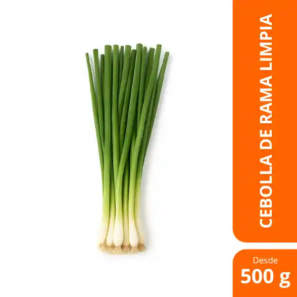 Cebolla De Rama Limpia