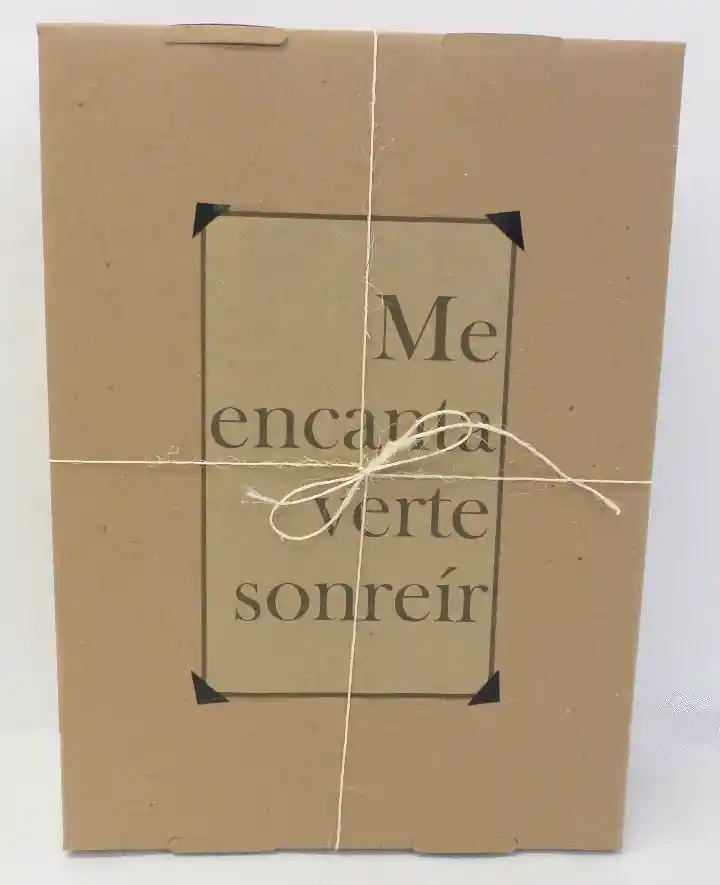 Planta De Navidad Poinsettia