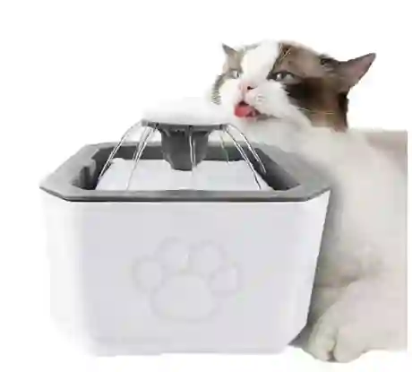Fuente De Agua Para Mascotas Gatos Perros 2.5 L Bebedero Color Blanco