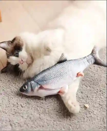 Pez Juguete Electrónico Con Movimiento Para Gatos, Mascotas