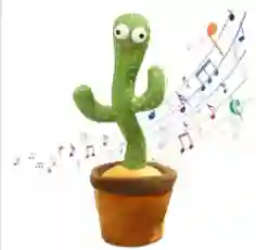 Cactus Bailarin