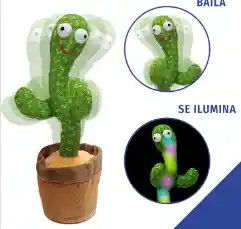 Cactus Bailarin