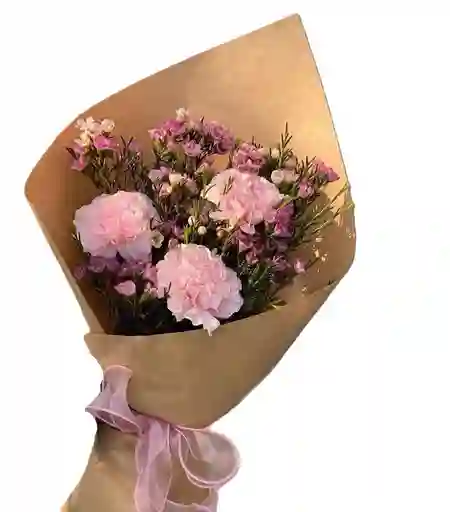 Claveles Rosados Y Clavel Chino