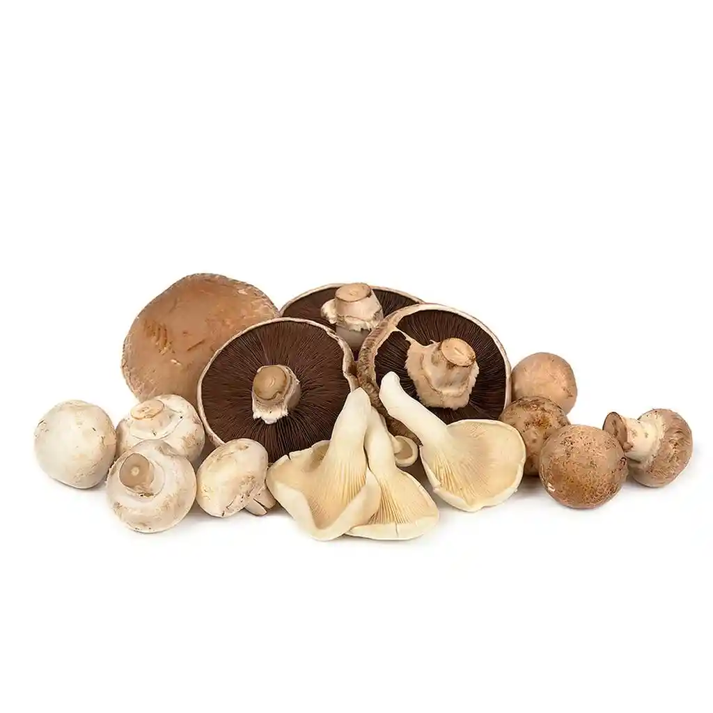 Mix Champiñones 500 G