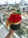 Cilindro De Rosas Eternas