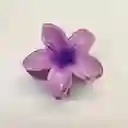 Pinza Caimán Gancho Flor Hawaiana Grande Para Pelo Cabello