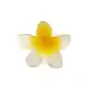 Pinza Caimán Gancho Flor Hawaiana Grande Para Pelo Cabello