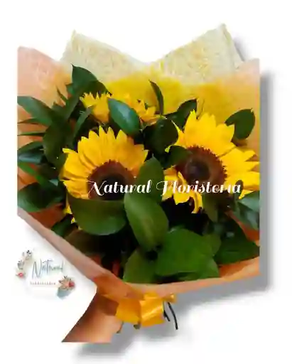 Girasoles X 3 Con Rusco