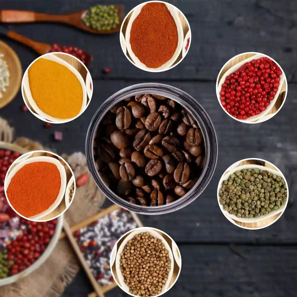 Molino De Frutos Secos