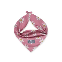 Pañoleta M Rosa Margaritas