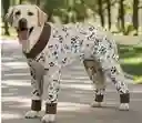 Piyama Para Perro