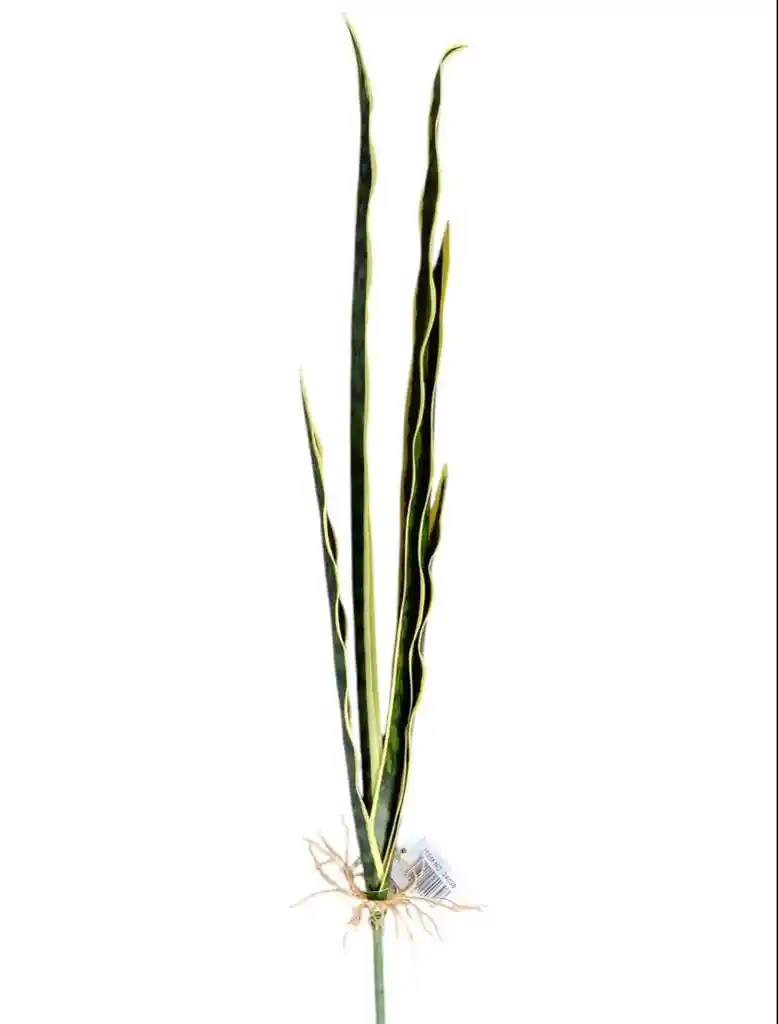 Planta Lengua De Suegra Artificial Para Matera 65cm
