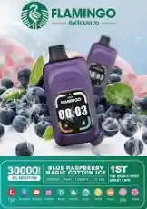 Vape Desechable Multifuncional Inteligente Flamingo Skb30000 Blueberry