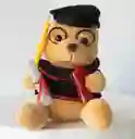 Peluche Osito Grado 16 Cm