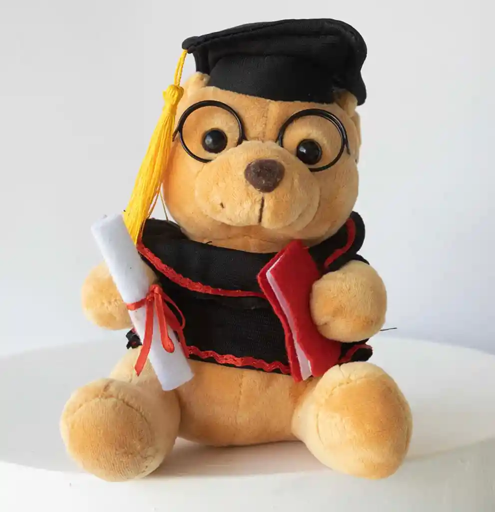 Peluche Osito Grado 16 Cm