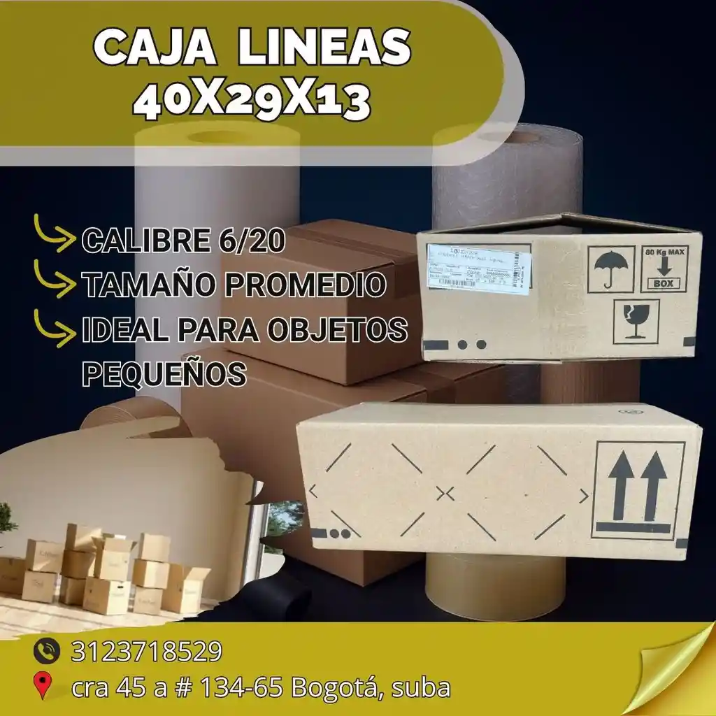 Caja Lineas - 40x29x13