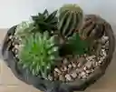 Terrario Botanico En Piedra