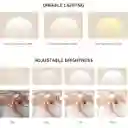 Lampara De Escritorio De Uñas De Media Luna, Lampara De Mesa