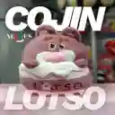 Cojin Lotso